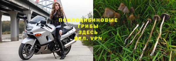 2c-b Балахна