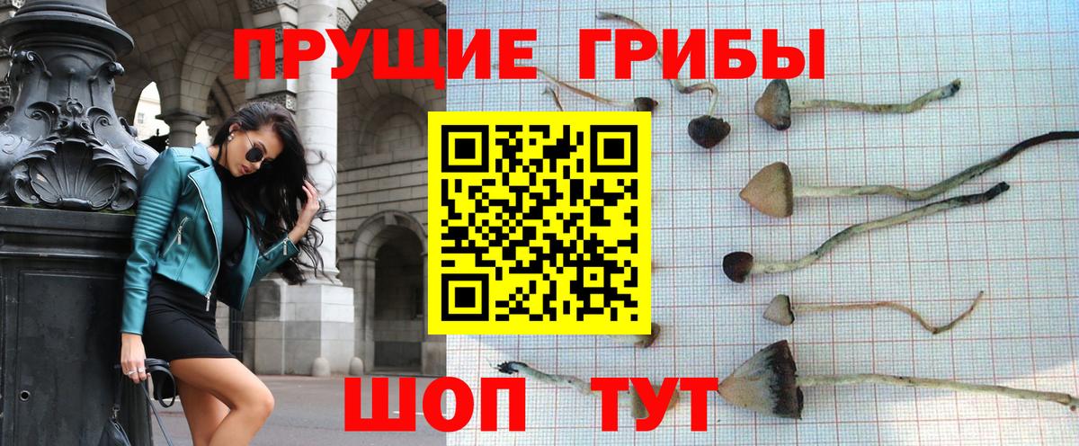 Галлюциногенные грибы MAGIC MUSHROOMS Верхняя Пышма