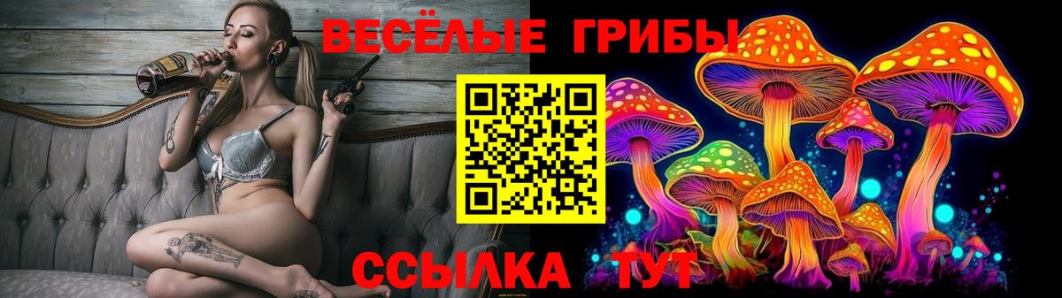 Галлюциногенные грибы мицелий  Галлюциногенные грибы прущие грибы  Верхняя Пышма  Вход с VPN 