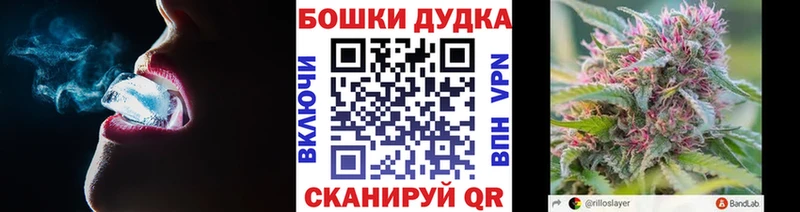 Бошки марихуана сатива  цены наркотик  Верхняя Пышма 
